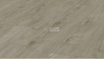 Ламинат Kronotex Exquisit Plus d4691 Дуб Севилья фото 1 | FLOORDEALER